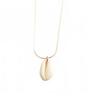 NEW CAPE COD CHOKERS puka shell necklace in gold